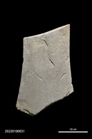 藏品(斧鋤形器)的圖片